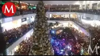 Encienden monumental pino navideño en Altama