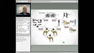 TMFTP Webinar  Perinatal ve Neonatal D&ouml;nemde COVID 19