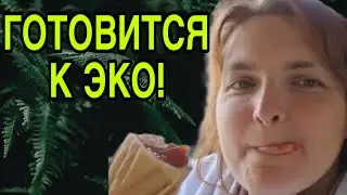 ГАГО ГОТОВИТСЯ К ЭКО. VREDINA LIFE. ОБЗОР. 