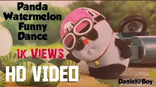 Panda Watermelon Funny Dance Team Work // Summer Time // #states #funny #panda #Daniel@Boy