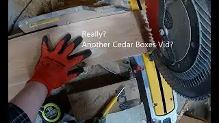 Really?  Another Cedar Boxes Vid? #beginnerwoodworking #budgettools