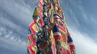Romaria a Nossa Senhora Aparecida