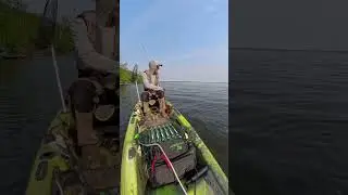 You can&rsquo;t always get them #alberta #fishing #kayakfishing #pikefishing #angling #canada