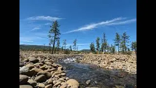 Rough and Ready Creek