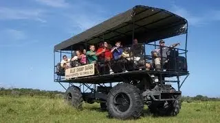 Billie Swamp Safari