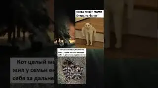 мем #meme #мем