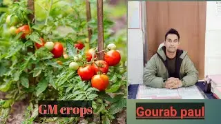 GM crops l Lecturette series l SSB #gmcrops #agriculture @gourabblog