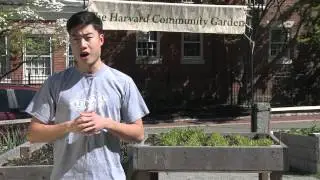 Student Peer-to-Peer Programs