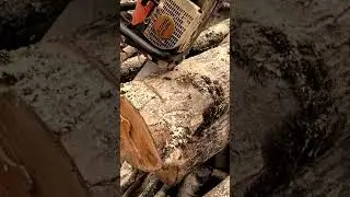 STIHL MS290