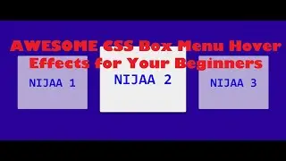 AWESOME CSS Box Menu Hover Effects for Beginners