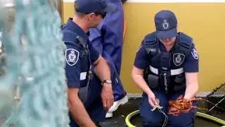Fisheries Officer Recruitment Campaign 2018
