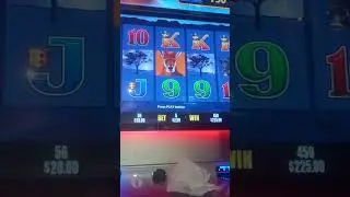 BIG RED GOLD POKIES