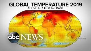 Last decade was warmest on record: Report