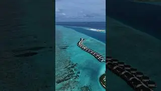 Joy Island Maldives from a bird's eye view #joyisland #maldives #resort #paradise #cocoon #vacation