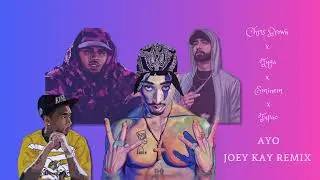Chris Brown x Tyga x Tupac x Eminem - Ayo (JoeyKay Remix)