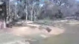 Josh dam 2.3gp