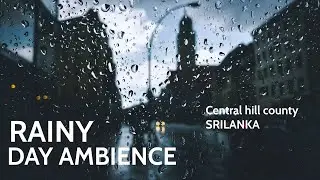The Rainy Day Ambience | Cold Weather Of Central Srilanka