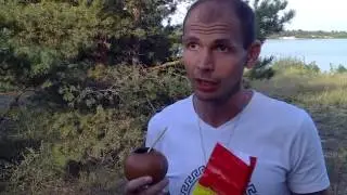 Обзор Yerba mate La Hoja -  