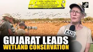 Gujarat&rsquo;s Chhari-Dhandh Gets Ramsar Tag, Boosts Wetland Conservation