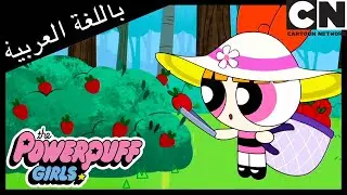 لعبة دوني | فتيات القوة | كرتون نتورك