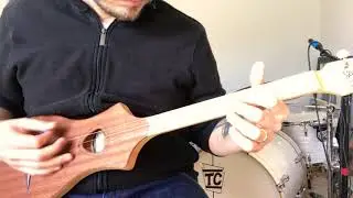 Seagull M4 Merlin Dulcimer Demo