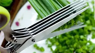 5 Layers Scissors Review