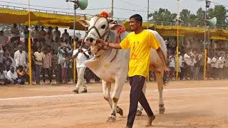 💥నరసరావుపేట గ్రామం💥 న్యూ క్యాటగిరి విభాగం💥 5వ జత💥RVS BULLS💥