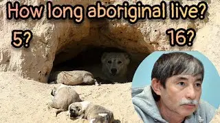 Truth about aboriginal dogs - where they are born and how long live? Alikhon Latifi 2nd part.