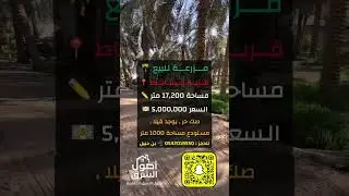 مزرعه للبيع في قرية الساباط مساحة 17,200م | للتواصل 0542018550
