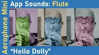 Roland Aerophone AE-01 App Sounds: Flute - 