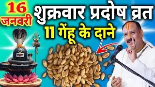 16 जनवरी माघ शुक्रवार प्रदोष व्रत के दिन 11 गेंहू के दाने वाला उपाय जरुर करे || Pradeep Ji Mishra