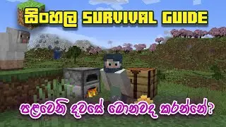 පළවෙනි රාත්&zwj;රියේ යක්කුන්ගෙන් බේරෙමු - Sinhala Minecraft Survival Guide - Ep 01