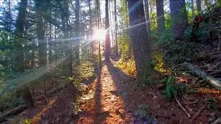 2023 AT THRU HIKE DAY 22 (Hike to Allen Gap from Hot Springs)