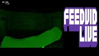 Feedvid Live | Livestream Horror | No Commentary