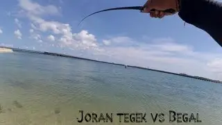 pake joran tegek kail pancing malah dibegal #015 #mancingbenoa #mancingvlogbali #mudukers #tegek