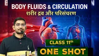 Body fluids and circulation class 11 one shot  #bodyfluidsandcirculation #biology 