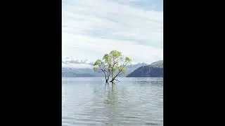 [FREE] Acoustic Indie Folk Type Beat - 