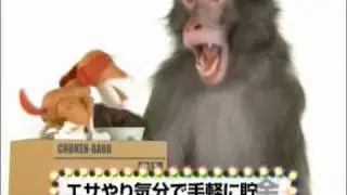 Choken-Bako : Hungry Coin Eating Dog Coin Bank