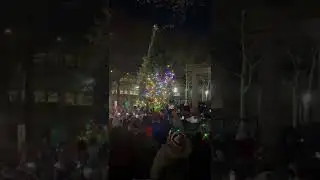 Hilarious Christmas Tree Lighting Countdown Fail - 1387703