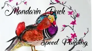 Mandarin Duck - Speed Painting
