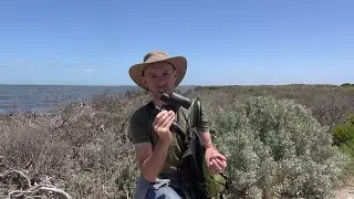 Birdwatching at Melbourne Water Western Treatment Plant presented by Matthew Crawford