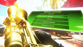 I got called a CHEATER in MW2 and they all REPORTED me... (it was too funny)