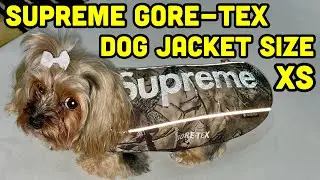 SUPREME GORE-TEX DOG JACKET SIZE XS UNBOXING AND TRY ON BODY + WALKING THE DOG