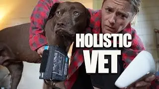 What is a HOLISTIC VETERINARIAN 🐶🐱? || PET FOOD WARNING! || Natural pet care