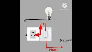 series testing lamp wiring diagram 💡 how to wiring connection #shorts #viral #wiring #youtubeshorts