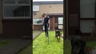Send away exercise