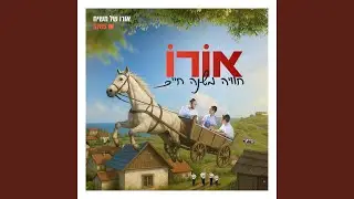 פעילות ערב
