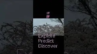 Outdoors Learning Activity| Explorative Learning w/Children #shorts