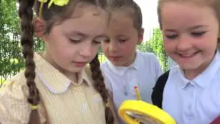Dosbarth Y Llewod