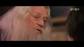 Fresh Dumbledore feat. Hermi G - Dumbledore ist bei dir [WiWa Music Video] (HD)